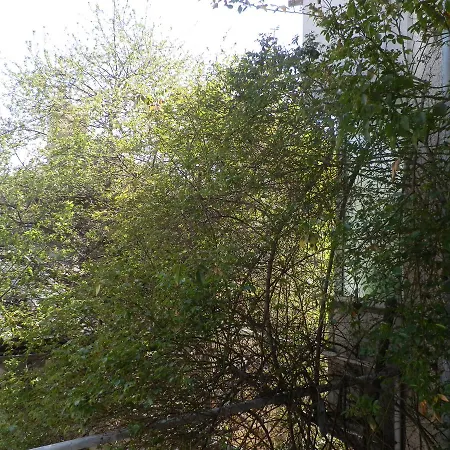 Silver House * Varna